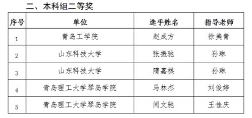 計(jì)算機(jī)工程系在第三屆山東新一代信息技術(shù)創(chuàng)新應(yīng)用大賽中喜獲佳績